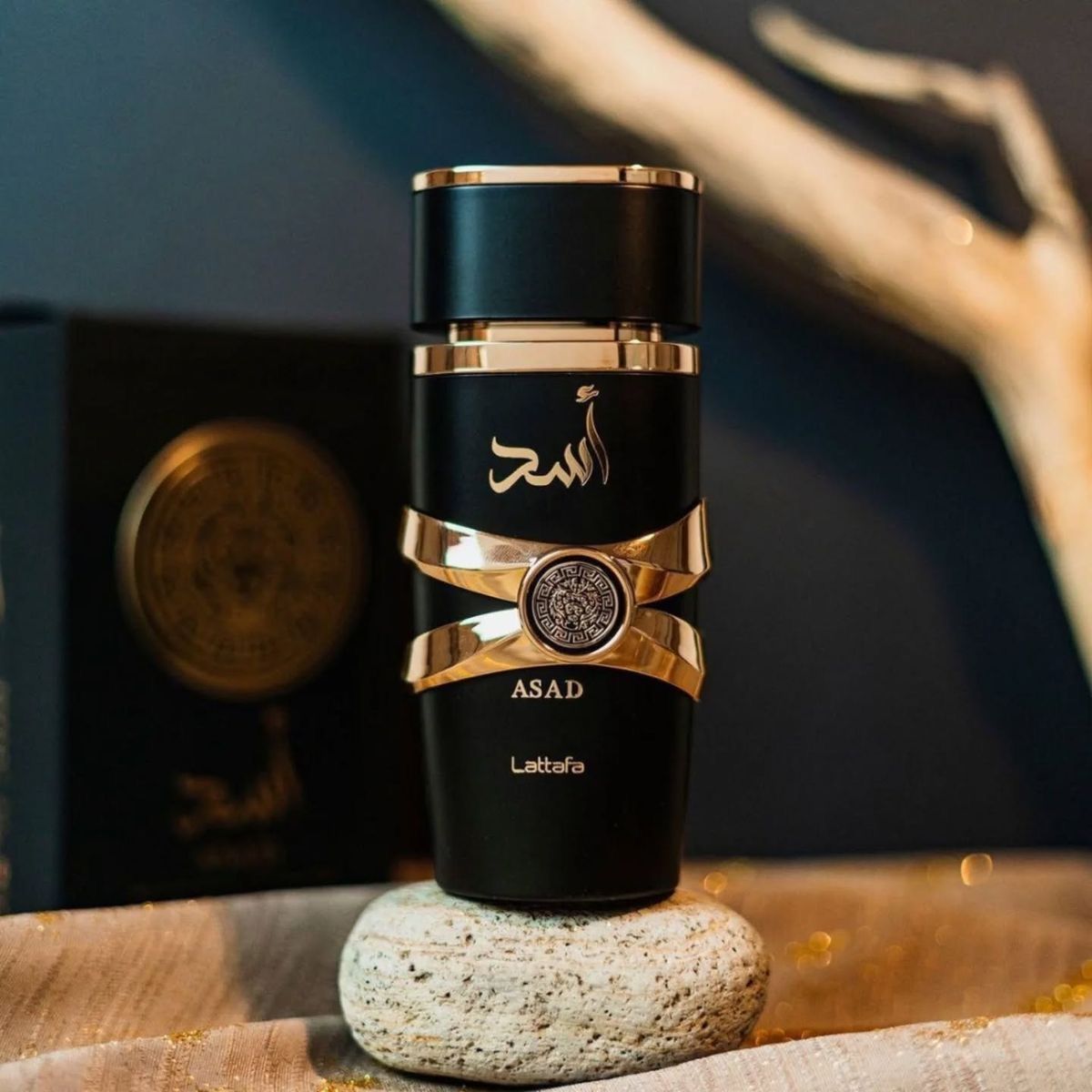 Perfume Asad Lattafa